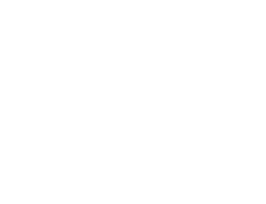 Electric Cars
