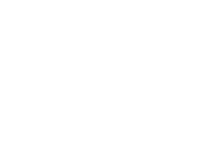 Electric Cars