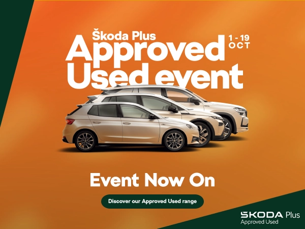 Ingram Motoring Group home banner