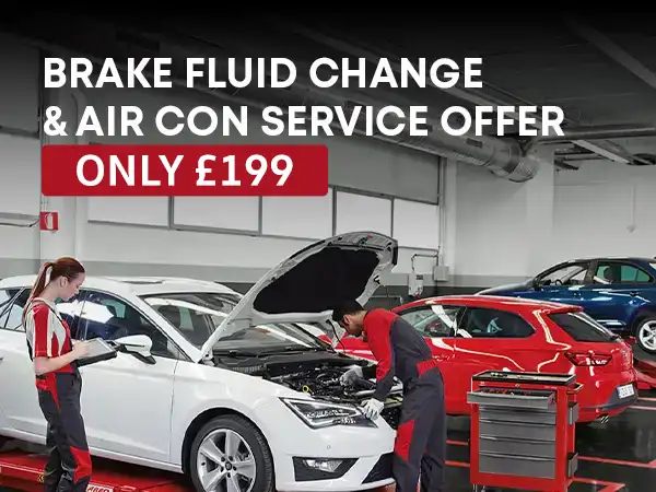 Seat Brake Fluid Change