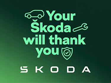 Skoda All-In Servicing