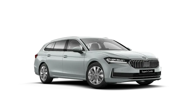Pebble Silver Metallic