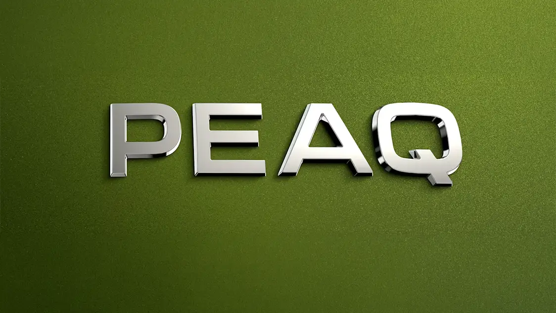 The New Skoda Peaq: Skoda Confirms Name of Flagship Electric SUV